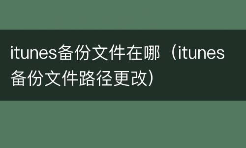 itunes备份文件在哪（itunes备份文件路径更改）