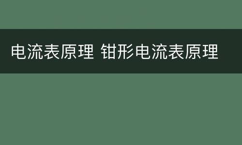 电流表原理 钳形电流表原理