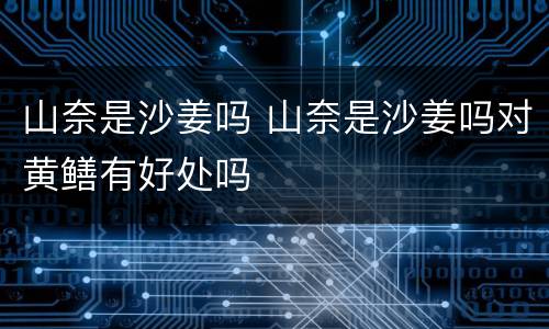 山奈是沙姜吗 山奈是沙姜吗对黄鳝有好处吗