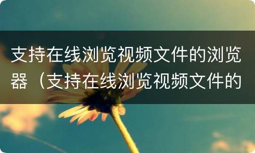 支持在线浏览视频文件的浏览器（支持在线浏览视频文件的浏览器叫什么）