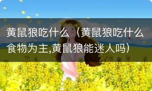 黄鼠狼吃什么（黄鼠狼吃什么食物为主,黄鼠狼能迷人吗）