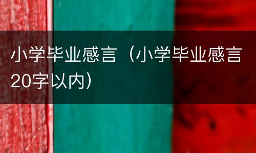 小学毕业感言（小学毕业感言20字以内）