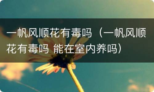 一帆风顺花有毒吗（一帆风顺花有毒吗 能在室内养吗）