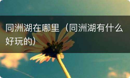 同洲湖在哪里（同洲湖有什么好玩的）