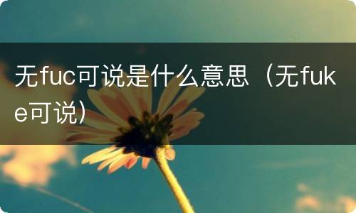 无fuc可说是什么意思（无fuke可说）