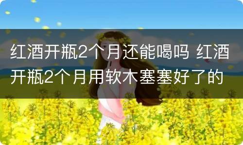 红酒开瓶2个月还能喝吗 红酒开瓶2个月用软木塞塞好了的