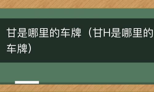 甘是哪里的车牌（甘H是哪里的车牌）