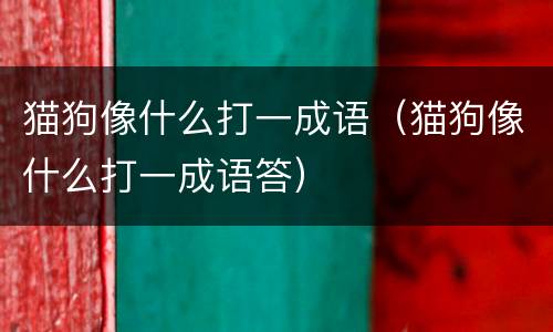 猫狗像什么打一成语（猫狗像什么打一成语答）
