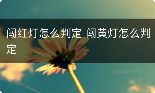 闯红灯怎么判定 闯黄灯怎么判定