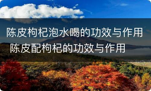 陈皮枸杞泡水喝的功效与作用 陈皮配枸杞的功效与作用