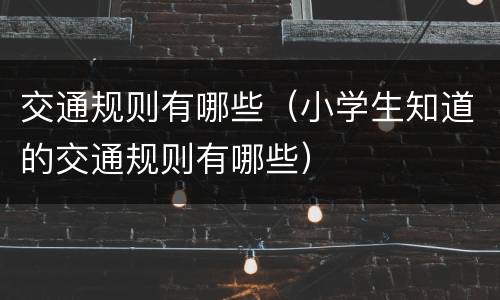 交通规则有哪些（小学生知道的交通规则有哪些）
