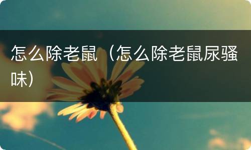 怎么除老鼠（怎么除老鼠尿骚味）