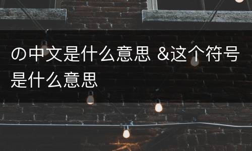の中文是什么意思 &这个符号是什么意思