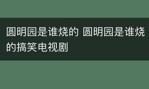 圆明园是谁烧的 圆明园是谁烧的搞笑电视剧