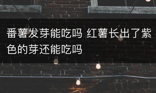 番薯发芽能吃吗 红薯长出了紫色的芽还能吃吗