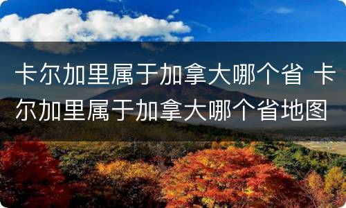 卡尔加里属于加拿大哪个省 卡尔加里属于加拿大哪个省地图