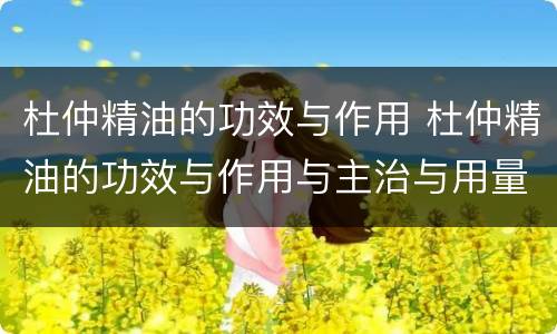 杜仲精油的功效与作用 杜仲精油的功效与作用与主治与用量