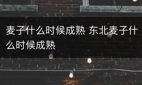 麦子什么时候成熟 东北麦子什么时候成熟