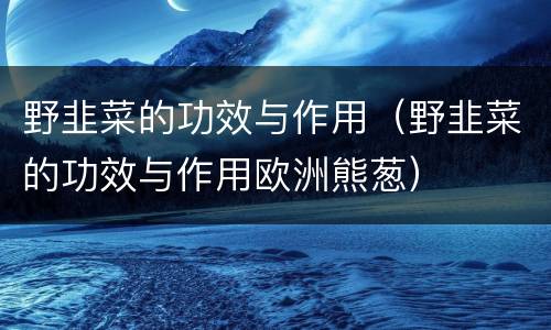 野韭菜的功效与作用（野韭菜的功效与作用欧洲熊葱）