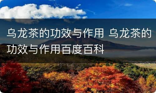 乌龙茶的功效与作用 乌龙茶的功效与作用百度百科