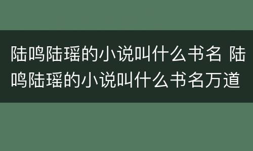 陆鸣陆瑶的小说叫什么书名 陆鸣陆瑶的小说叫什么书名万道龙皇,战龙真诀陆鸣