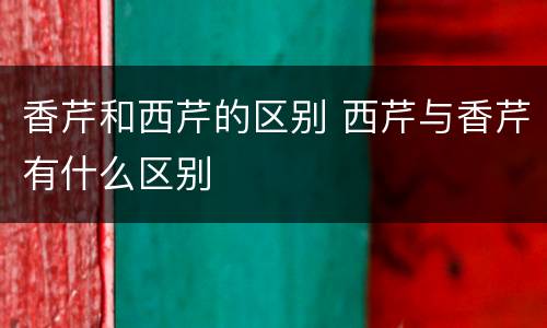 香芹和西芹的区别 西芹与香芹有什么区别