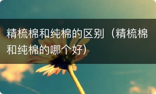 精梳棉和纯棉的区别（精梳棉和纯棉的哪个好）