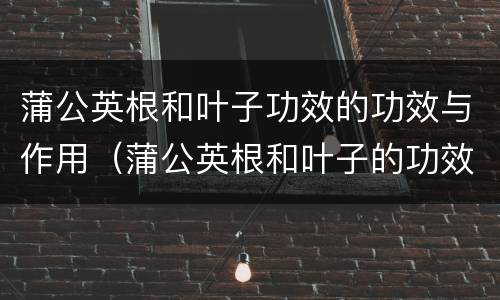 蒲公英根和叶子功效的功效与作用（蒲公英根和叶子的功效与作用禁忌）