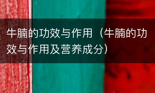 牛腩的功效与作用（牛腩的功效与作用及营养成分）