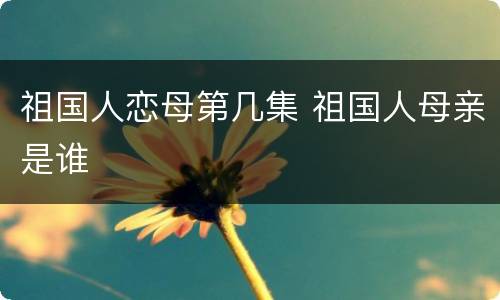 祖国人恋母第几集 祖国人母亲是谁