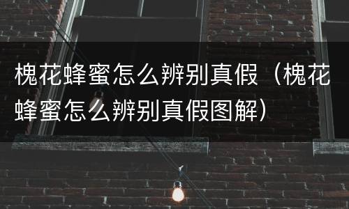 槐花蜂蜜怎么辨别真假（槐花蜂蜜怎么辨别真假图解）