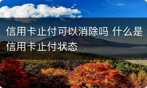 信用卡止付可以消除吗 什么是信用卡止付状态