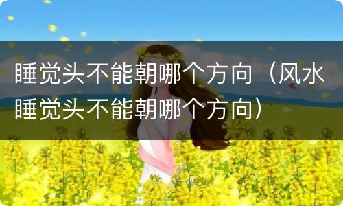 睡觉头不能朝哪个方向（风水睡觉头不能朝哪个方向）