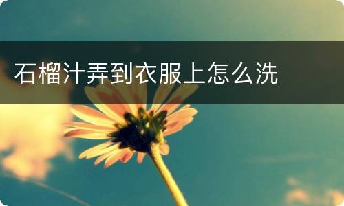 石榴汁弄到衣服上怎么洗
