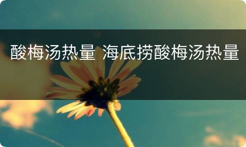 酸梅汤热量 海底捞酸梅汤热量