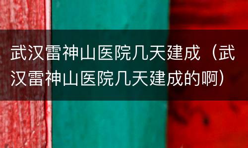 武汉雷神山医院几天建成（武汉雷神山医院几天建成的啊）