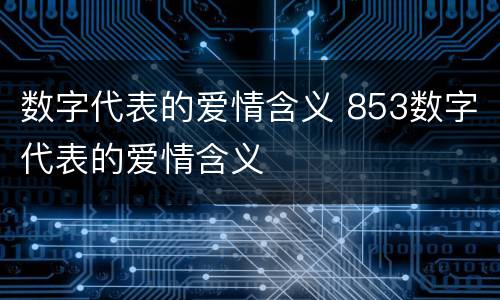 数字代表的爱情含义 853数字代表的爱情含义