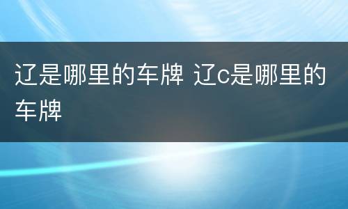 辽是哪里的车牌 辽c是哪里的车牌