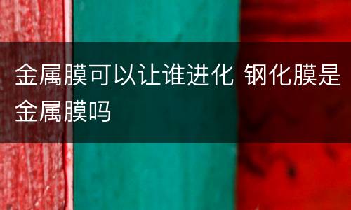 金属膜可以让谁进化 钢化膜是金属膜吗