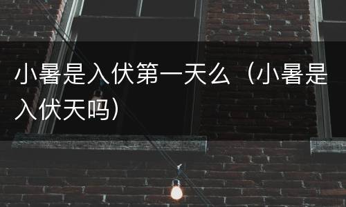 小暑是入伏第一天么（小暑是入伏天吗）