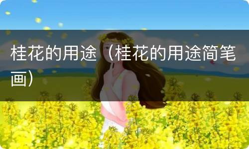 桂花的用途（桂花的用途简笔画）