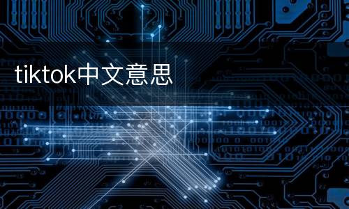tiktok中文意思