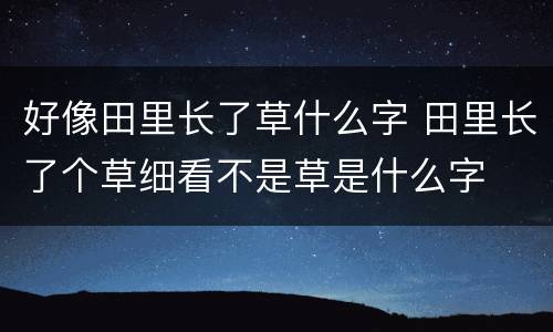 好像田里长了草什么字 田里长了个草细看不是草是什么字