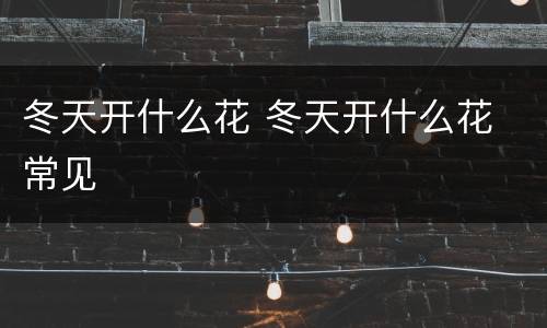 冬天开什么花 冬天开什么花 常见