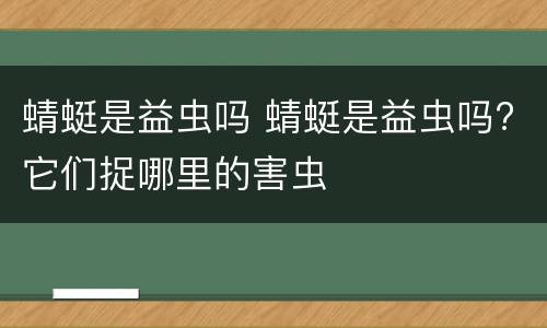 蜻蜓是益虫吗 蜻蜓是益虫吗?它们捉哪里的害虫