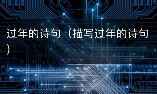 过年的诗句（描写过年的诗句）