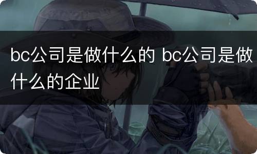 bc公司是做什么的 bc公司是做什么的企业