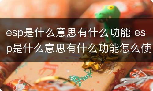 esp是什么意思有什么功能 esp是什么意思有什么功能怎么使用