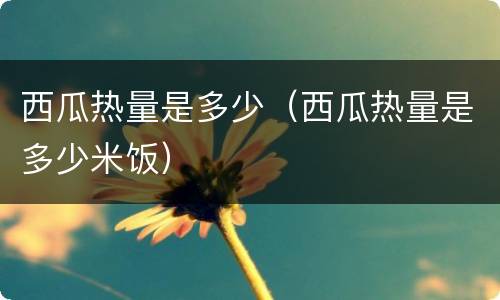 西瓜热量是多少（西瓜热量是多少米饭）