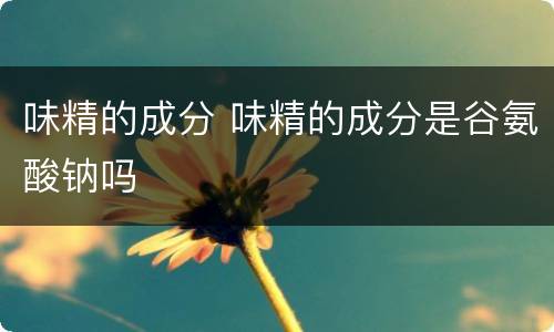 味精的成分 味精的成分是谷氨酸钠吗